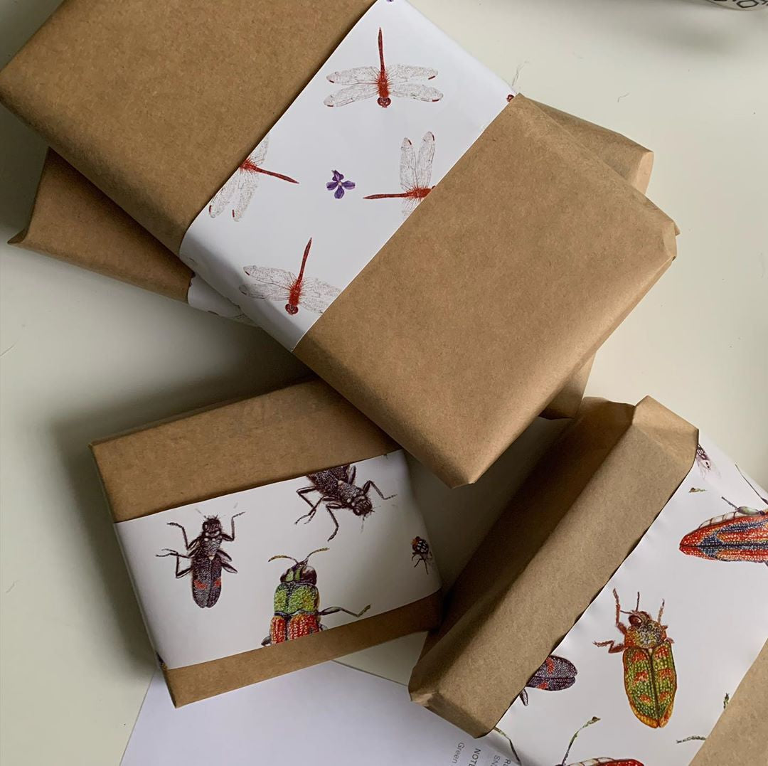 studio Nikulinsky gift wrap. Brown paper with gift wrap bands. Beetles and dragonfly gift wrap.