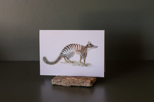 New greeting card range