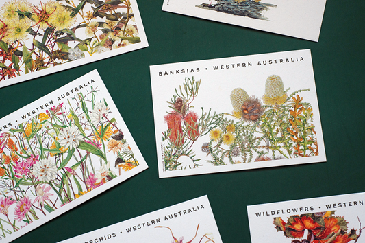 New Range | Postcards