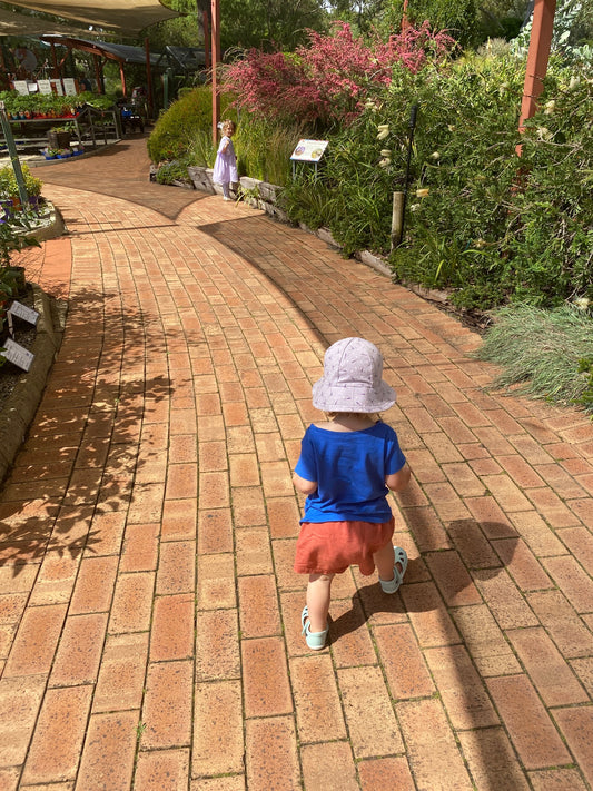 Three very good reasons to visit Zanthorrea Nursery this weekend