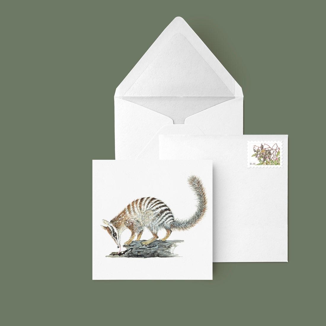 Our donation to Australian Wildlife Conservancy!