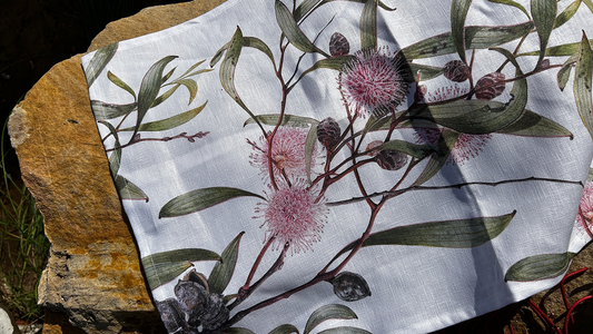 Pincushion Hakea (Hakea Laurina) Tea Towel