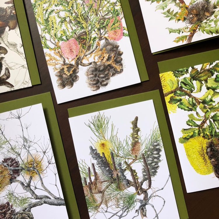 Banksia Greeting Cards & Gifts
