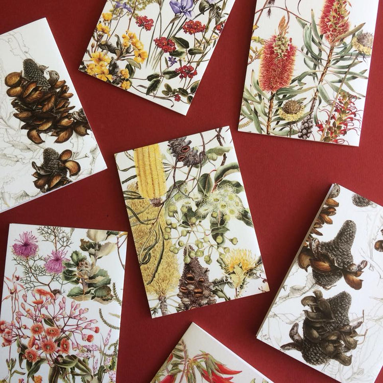 A6 Greeting Cards