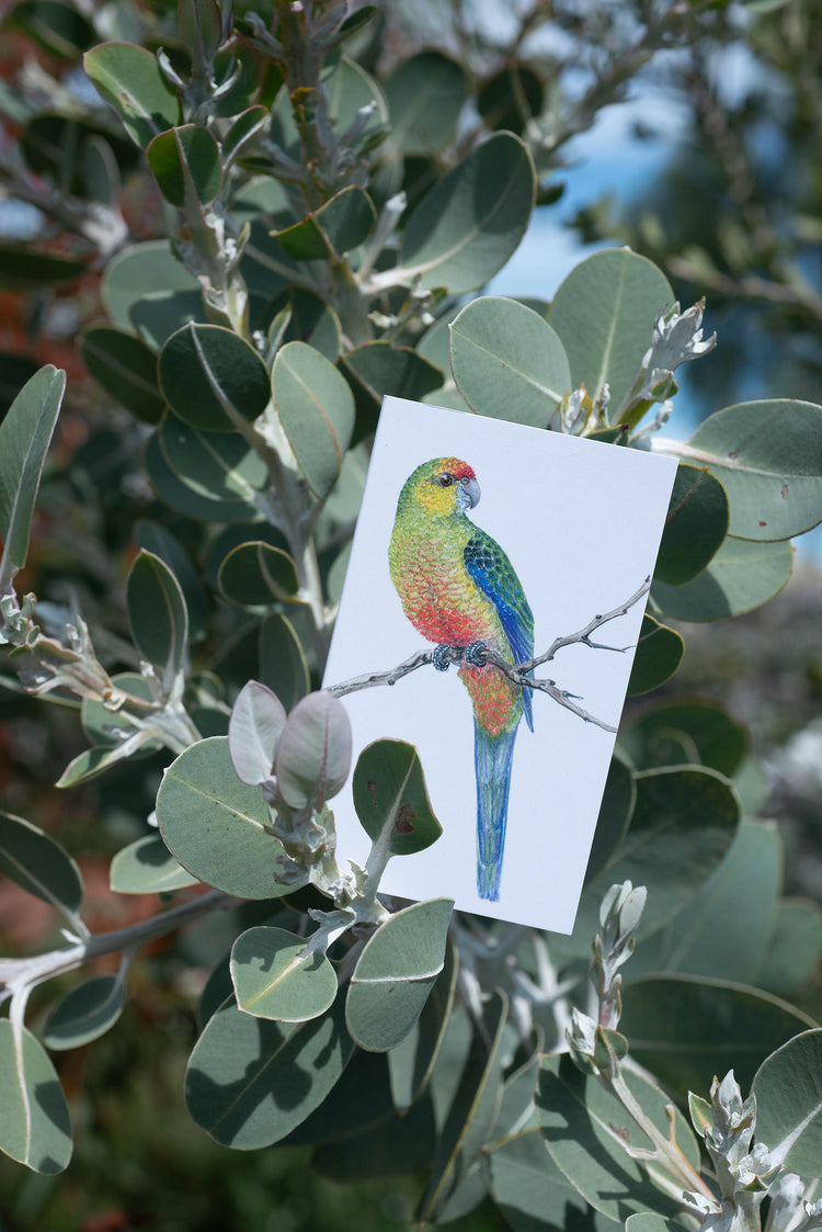 Small Cards
