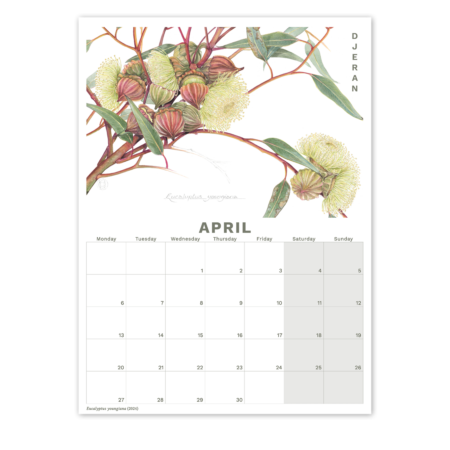 2026 Calendar