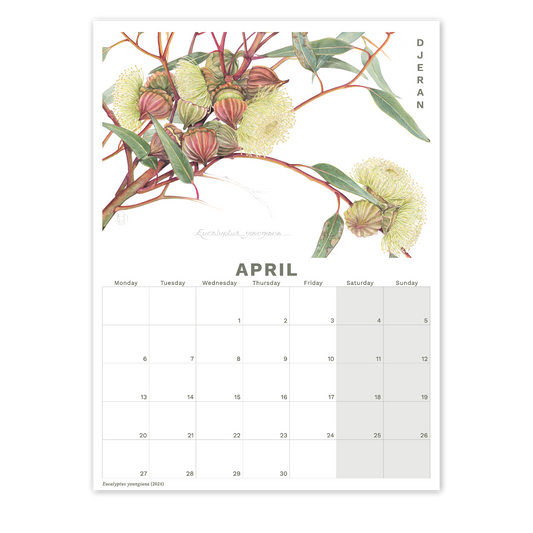 2026 Calendar