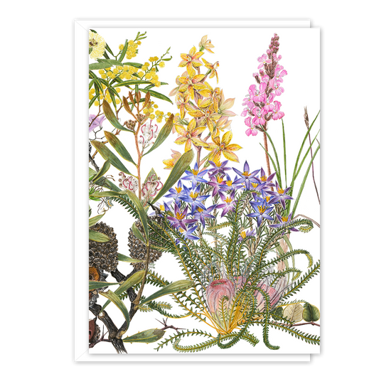 A6 Card: October Abundance (Cape Arid)