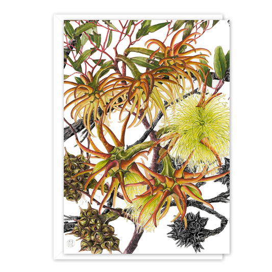 A6 Card: Bushy Yate(Cape Arid)