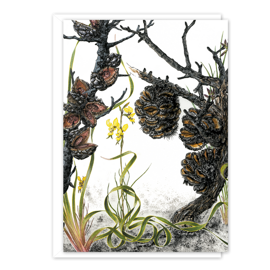 A6 Card: Jorndee Burn (Cape Arid)