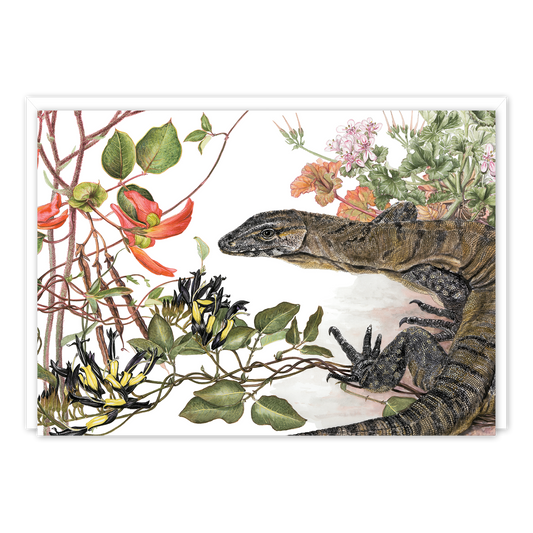 A6 Card: Heath Monitor (Cape Arid)
