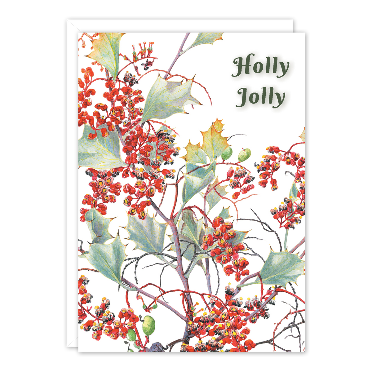 Holly-leaved Grevillea Australian Christmas Card — A6