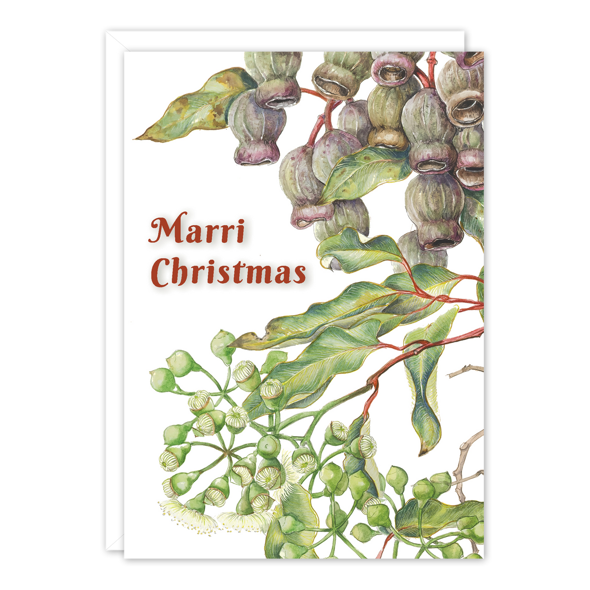 Marri Christmas Australian Botanical Christmas Card — A6