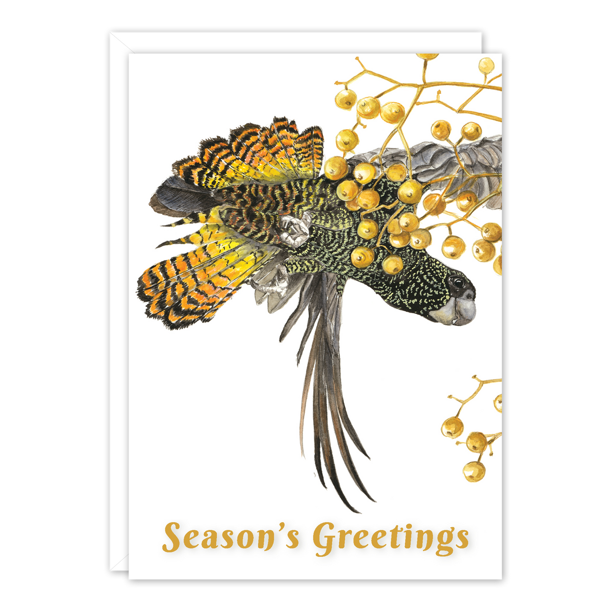 Red Tailed Black Cockatoo Christmas Australian Botanical Card — A6