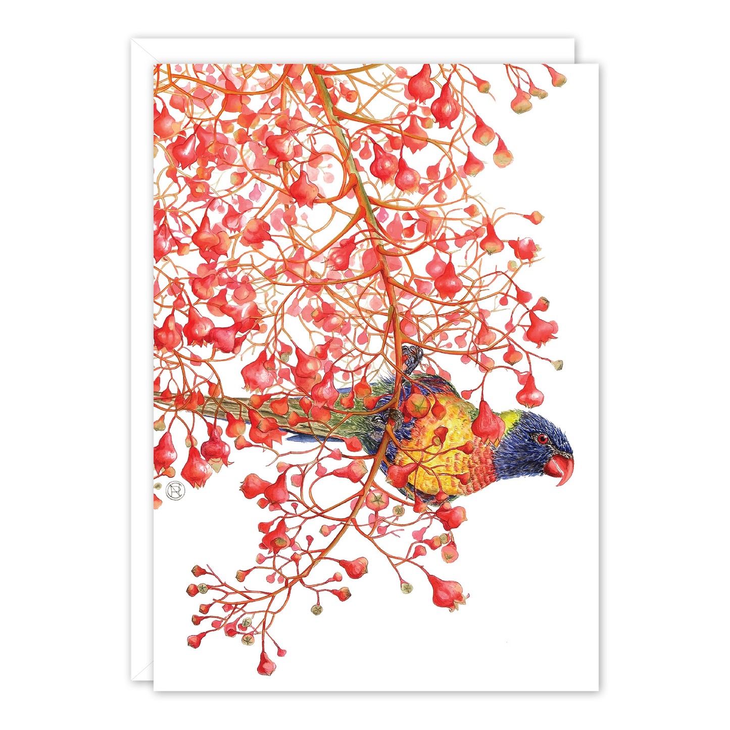Rainbow lorikeets Australian Wildlife Card — A6
