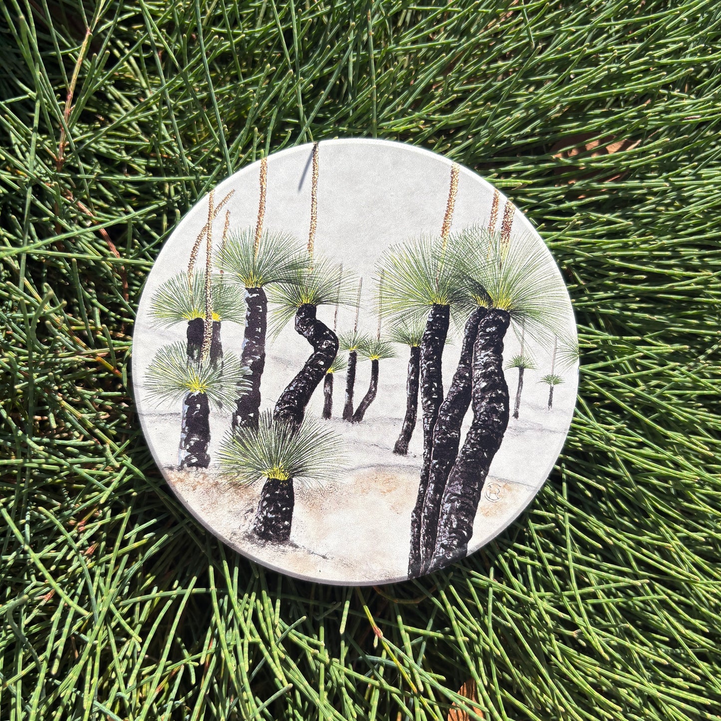 Grass Trees Australian Botanical Art Coaster