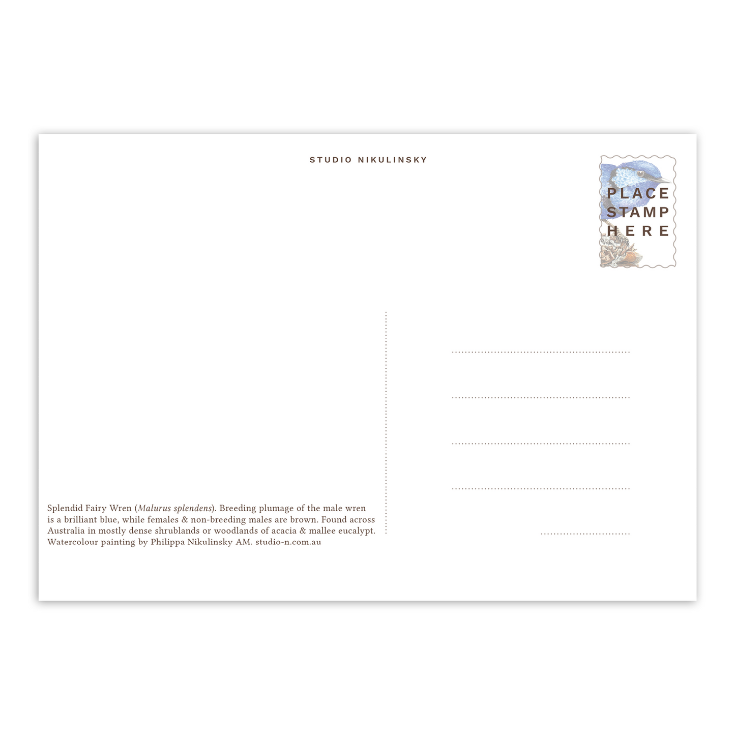 Splendid Fairy Wren Australian Wildlife Postcard