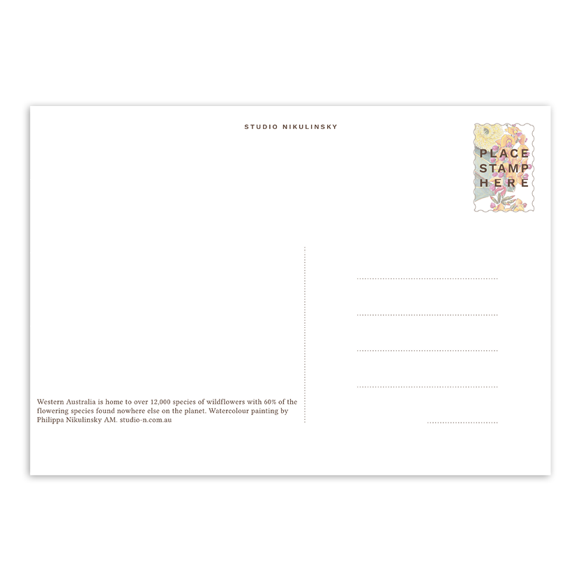 Southern Heathland Wildflowers Australian Botanical Postcard