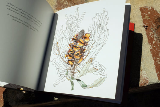 Book: Firewood Banksia