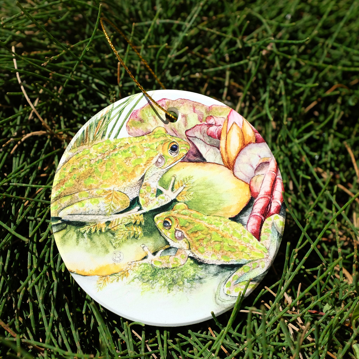 Frogs Australian Wildlife Christmas Ornament