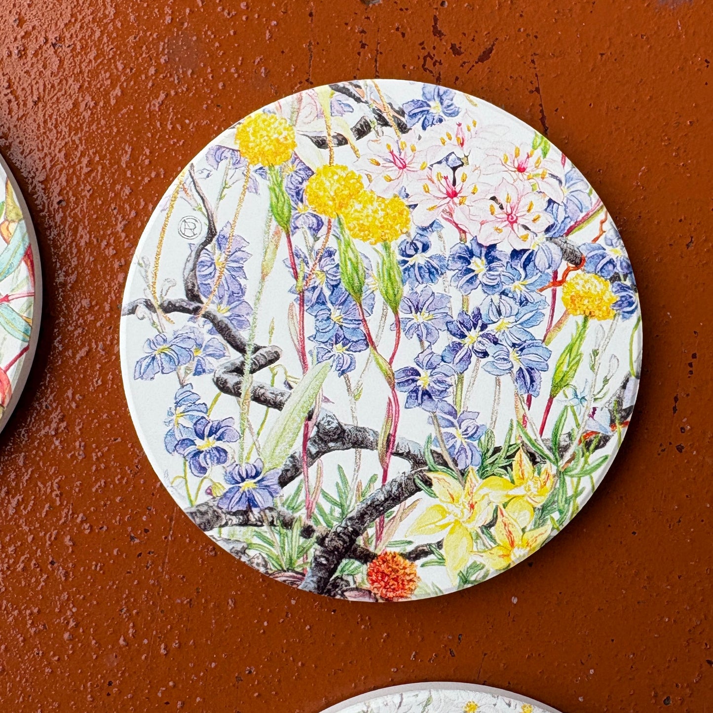 Dampiera Botanical Art Coaster