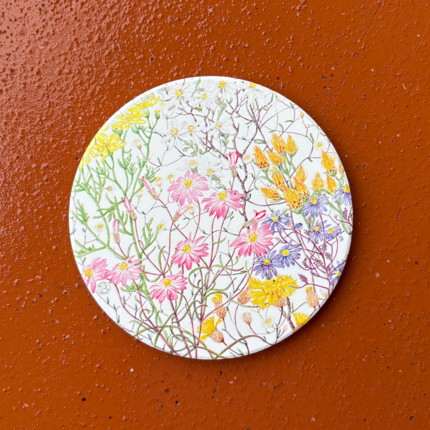 Daisies Coaster Set (4)