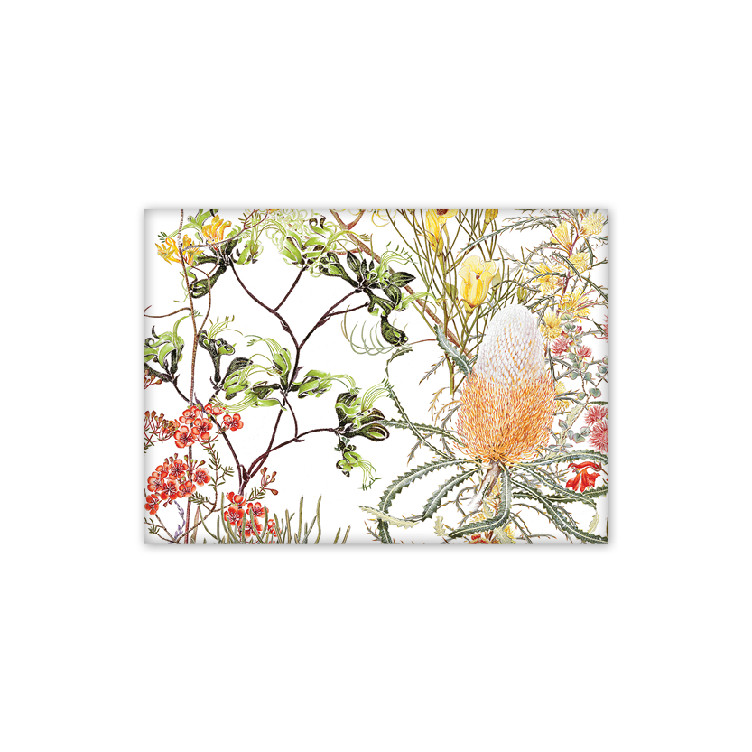Banksia & Black Kangaroo Paw Australian Botanical Fridge Magnet
