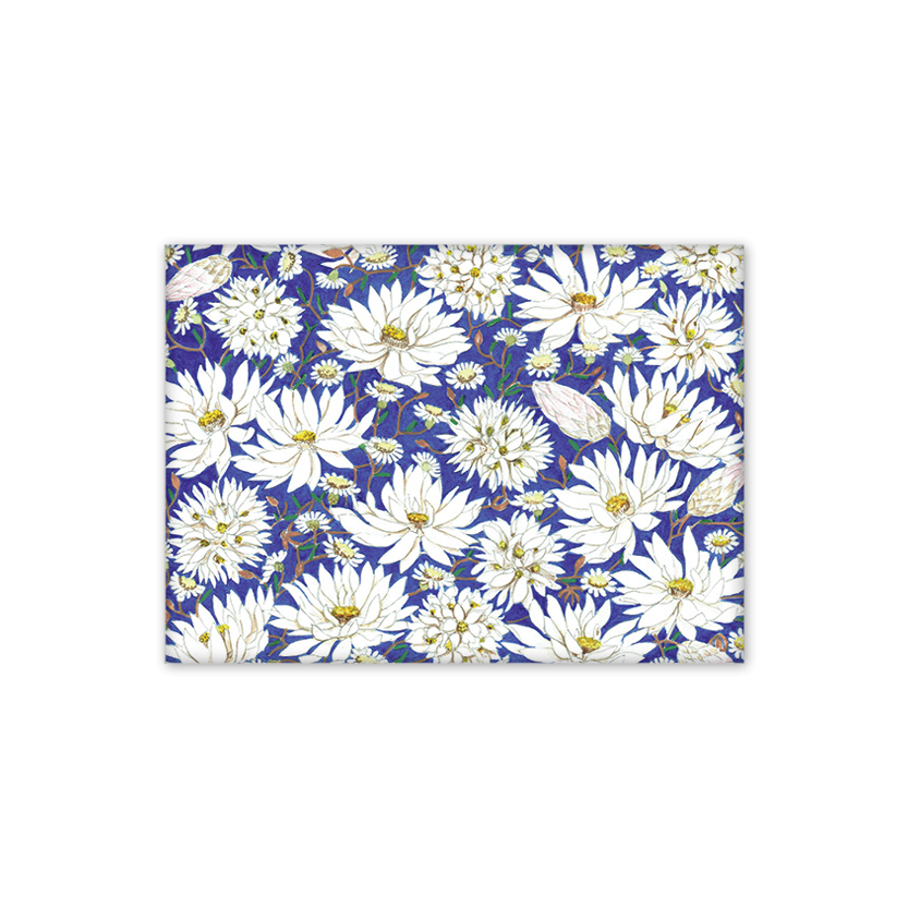 Paper Daisies Australian Botanical Fridge Magnet