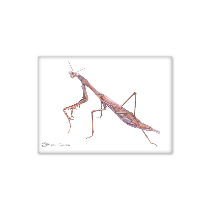 Mantis Australian Wildlife Fridge Magnet