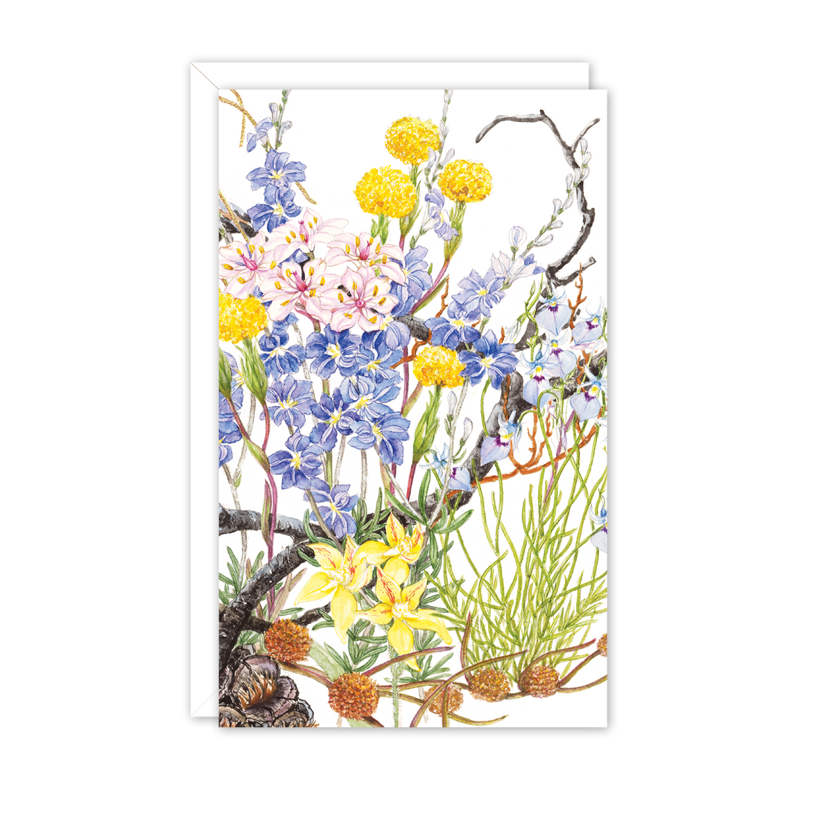 After the Burn I Australian Botanical Card — Small