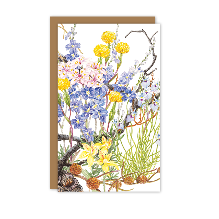 After the Burn I Australian Botanical Card — Small