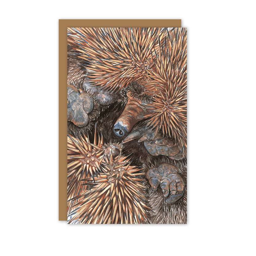 Echidna Australian Wildlife Card — Small