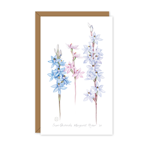 Sun Orchids Australian Botanical Card — Small