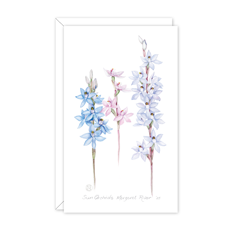 Sun Orchids Australian Botanical Card — Small