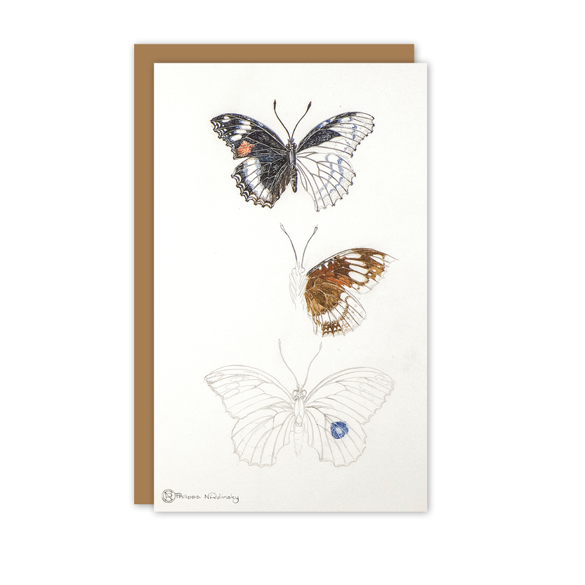Butterfly Study Australian Wildlife Card — Small
