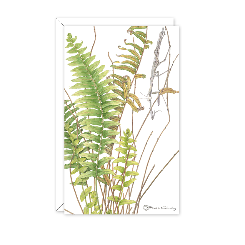 Fern & Mantis Australian Botanical & Wildlife Card — Small