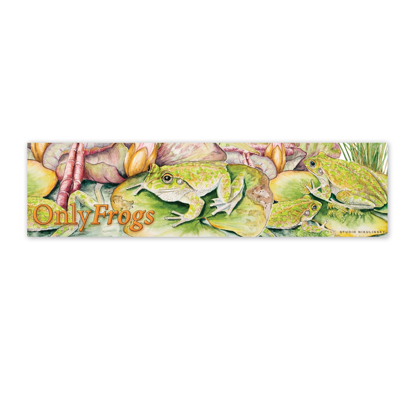 OnlyFrogs Bumper Sticker
