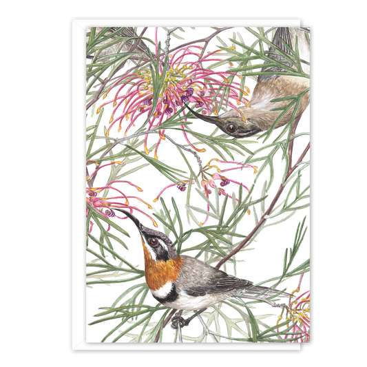 A6 Card: Grevillea & Western Spinebills