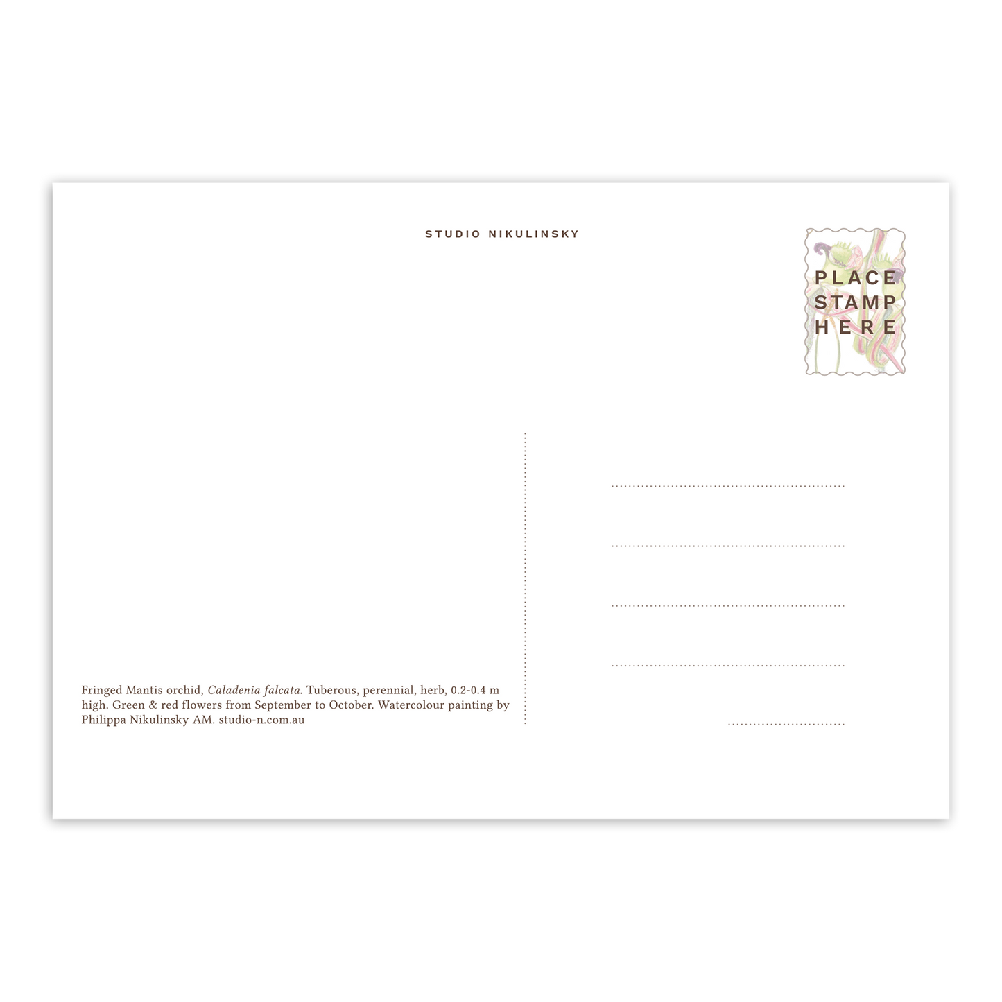 Fringed Mantis Orchid Australian Botanical Postcard