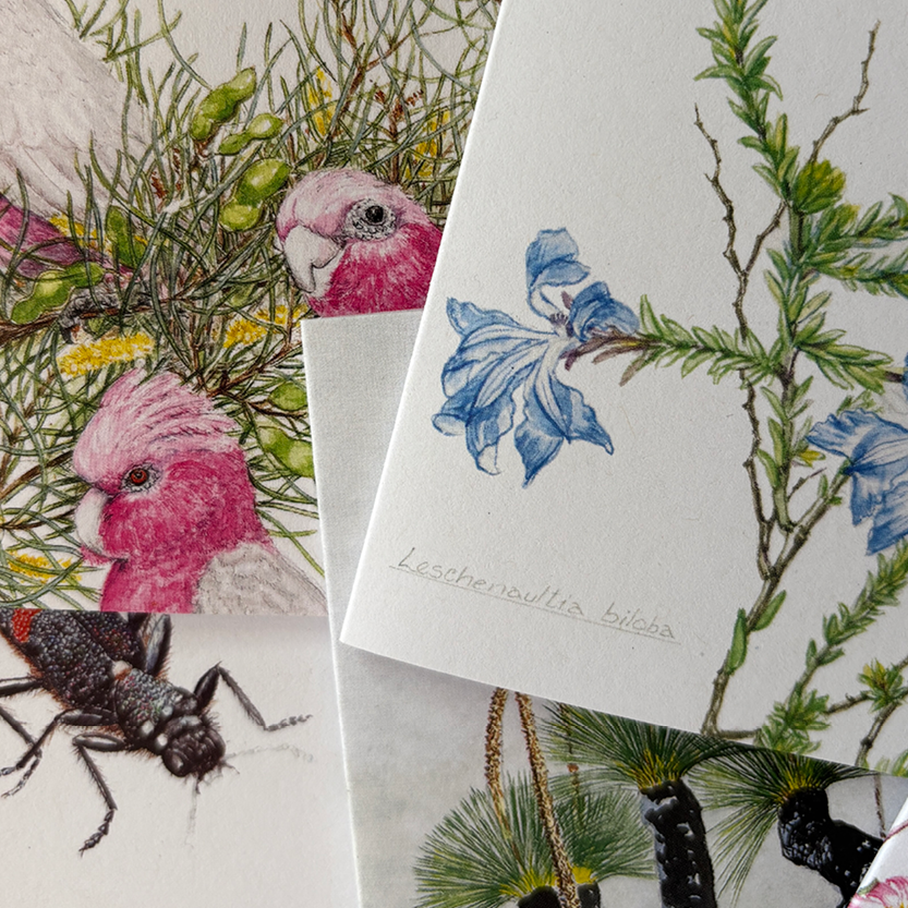 Lucky Dip - Small Card Pack (4)