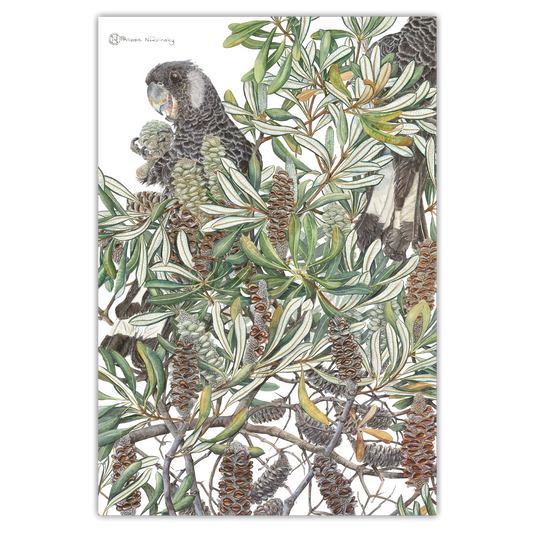 A linen tea towel featuring a watercolor painting with banksia plants and cockatoos, predominantly in shades of green and brown.
