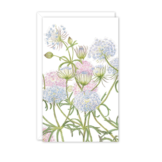 Small Card: Rottnest Island Daisy