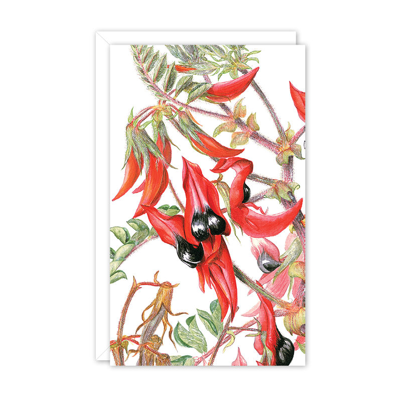 Sturt’s Desert Pea Australian Botanical Card — Small