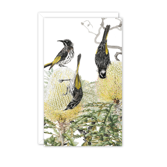 Small Card: Honeyeaters on Banksia