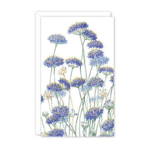 Small Card: Blue Pincushion