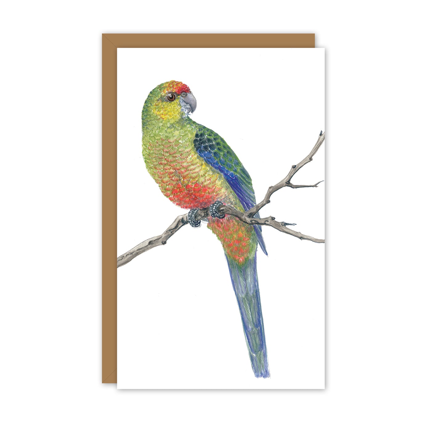 Western Rosella Australian Wildlife Card — Small