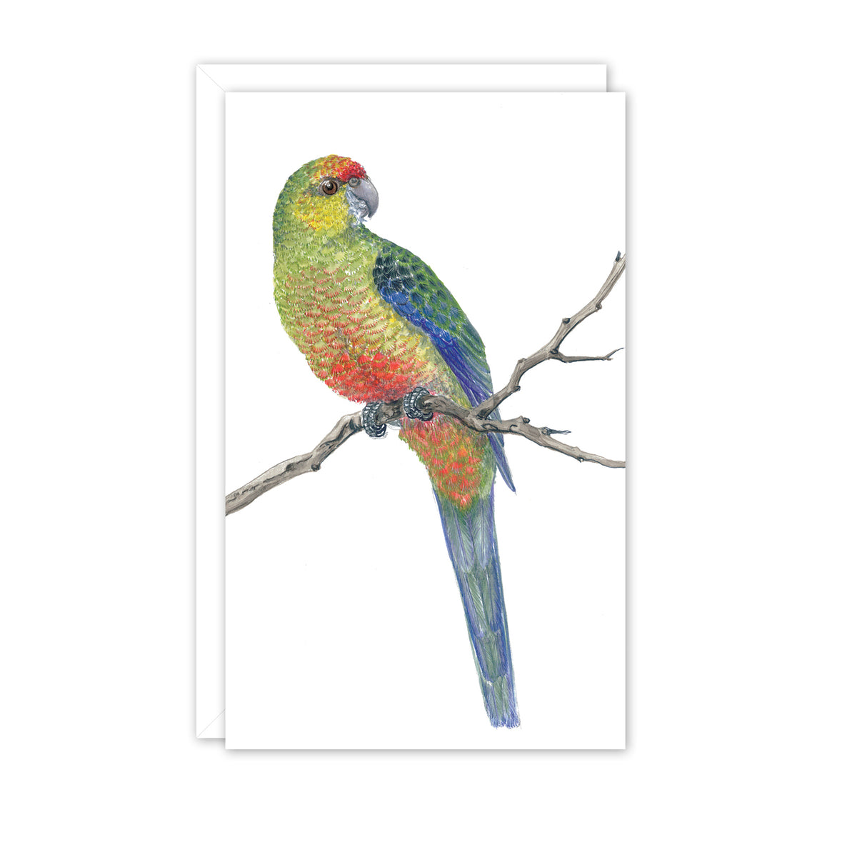 Western Rosella Australian Wildlife Card — Small