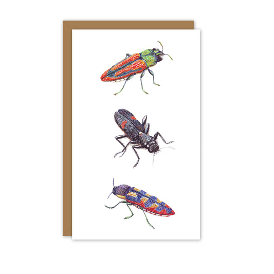 Small Card: Jewel Beetles