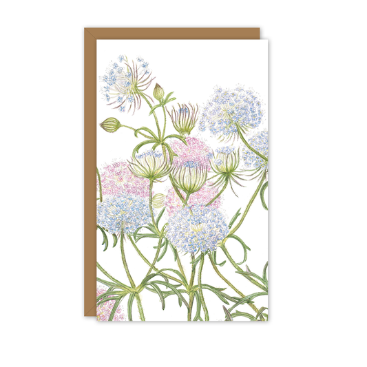 Small Card: Rottnest Island Daisy