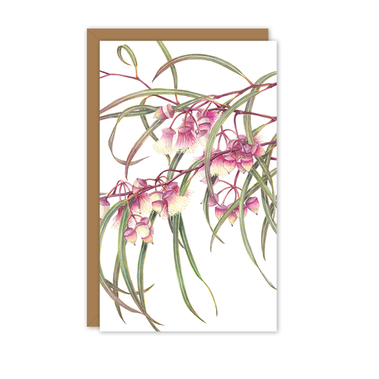 Small Card: Eucalyptus synandra